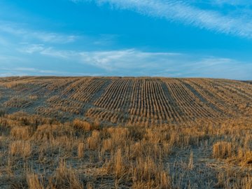 海南公司注冊專業辦理，全程合規保障
